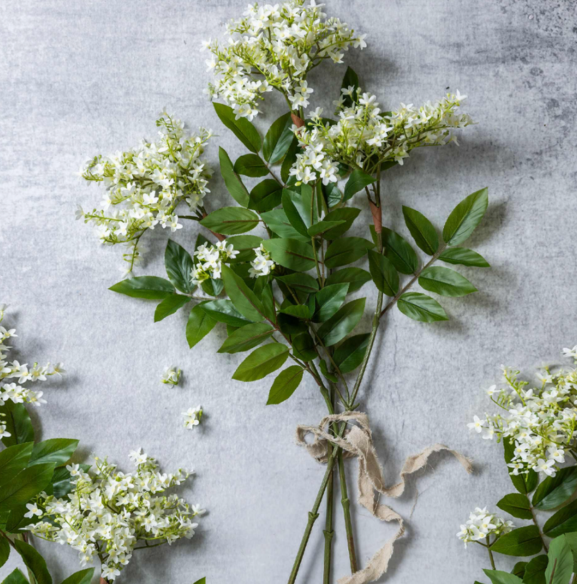 Lilac Stem/ White