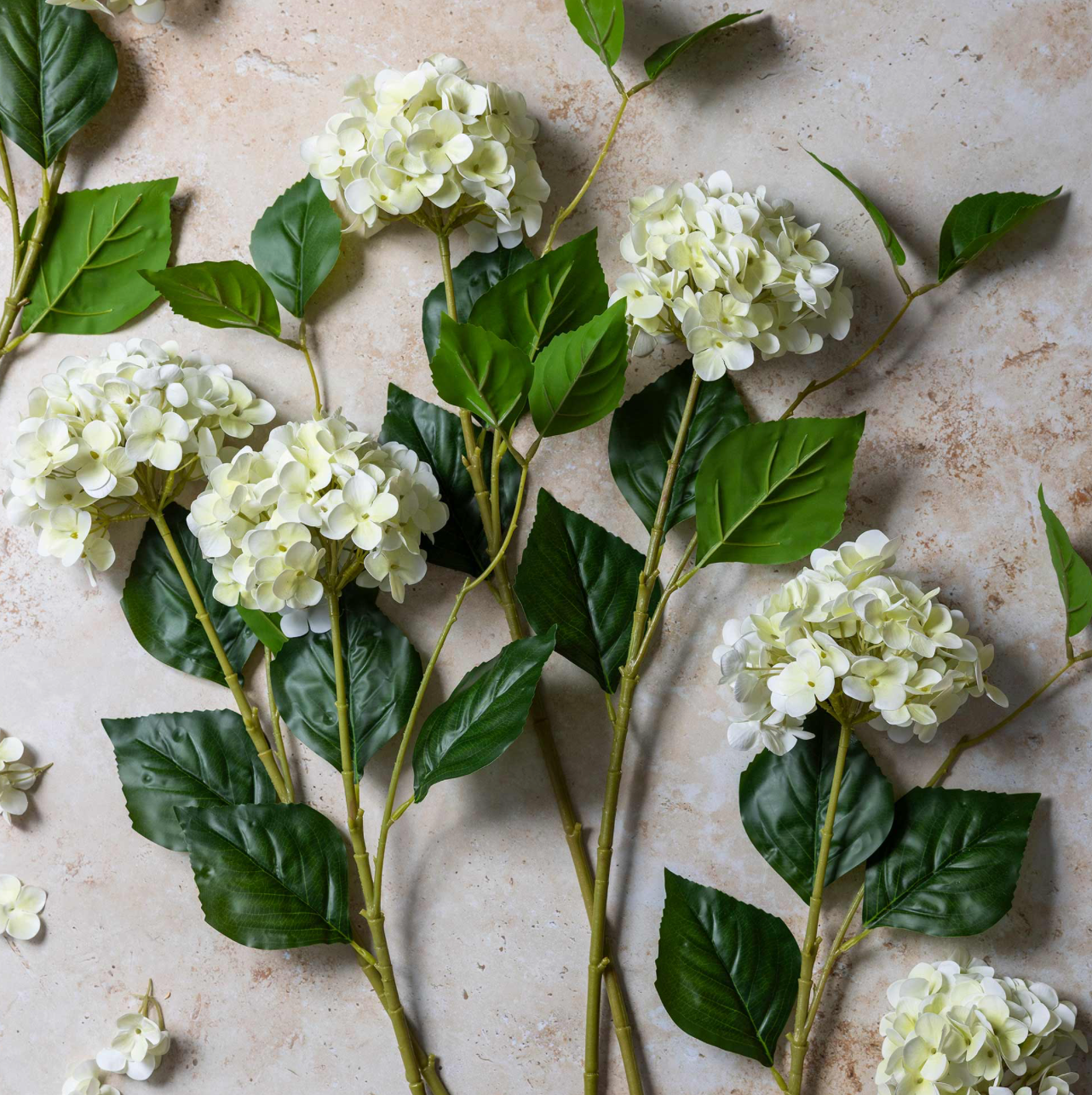 Hydrangea Stem White