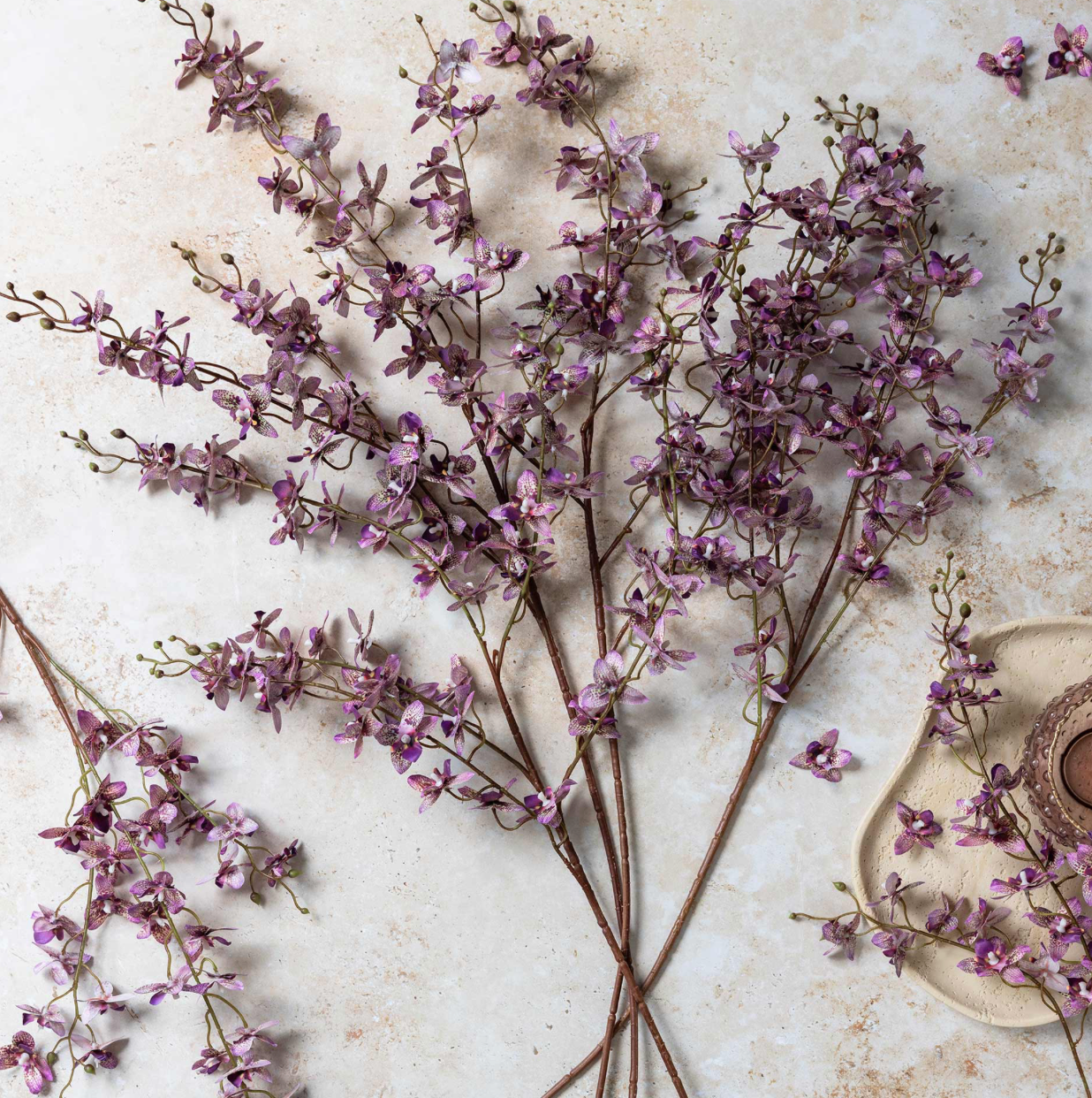Onsidium Orchid