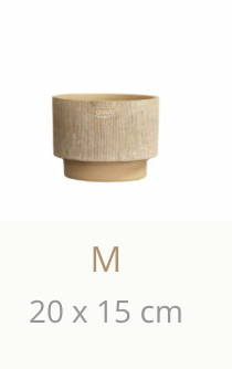Capri Candle Medium