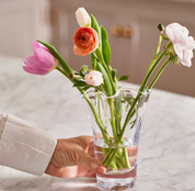 Anemone Vase Small