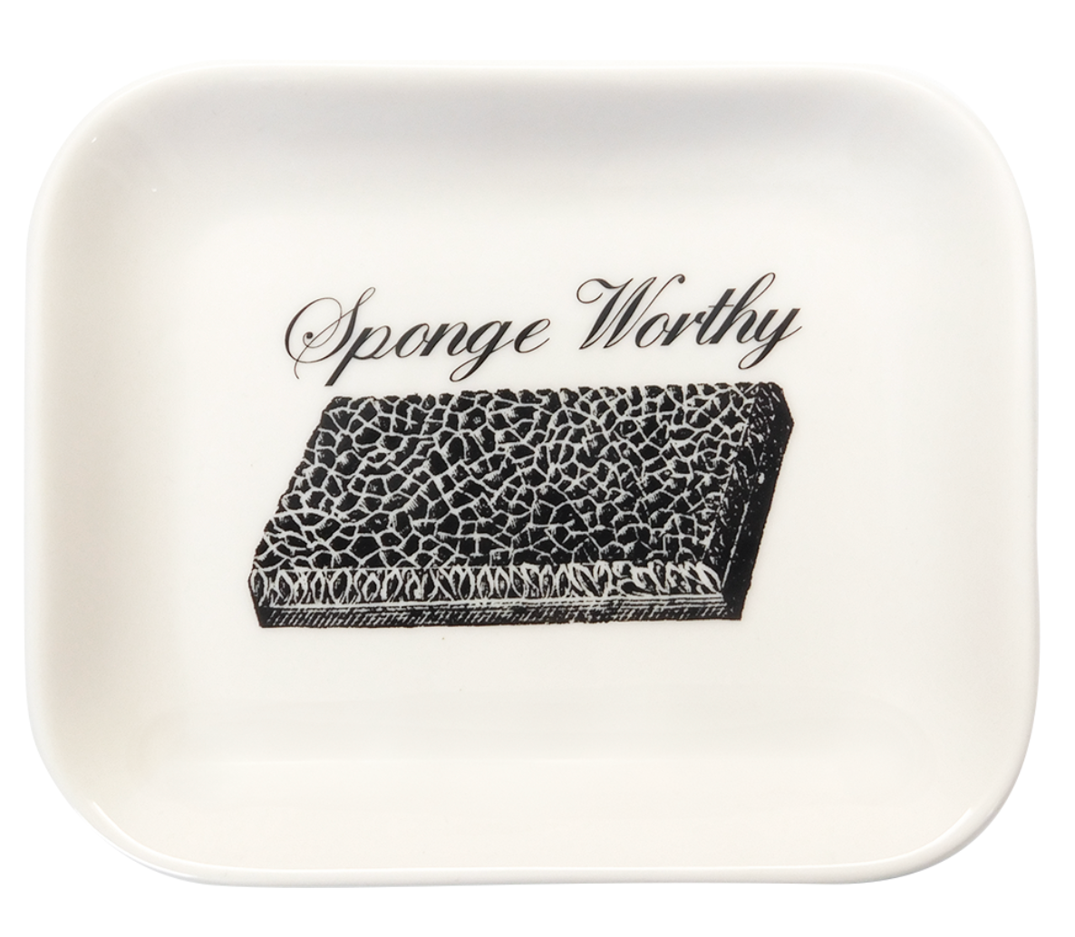 Sponge Worthy Tray