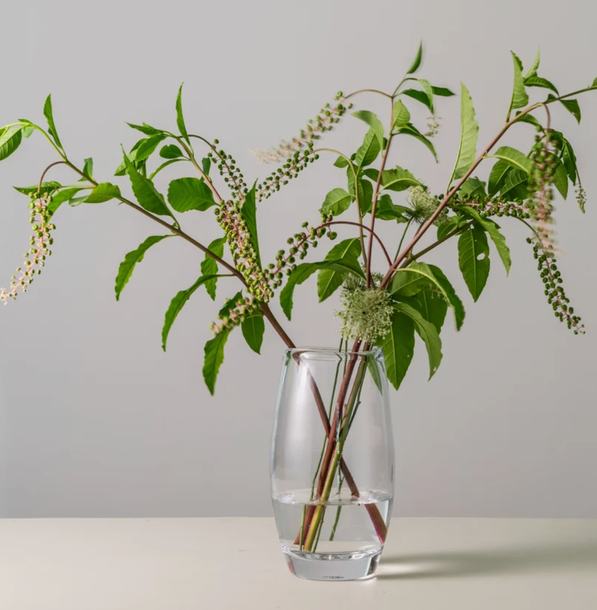 Burlington Vase